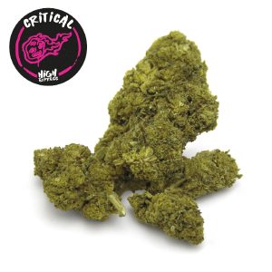 CBD critical Highexpress