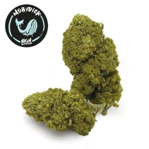 CBD mobydick Highexpress