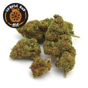 Orange Bud CBD fleur