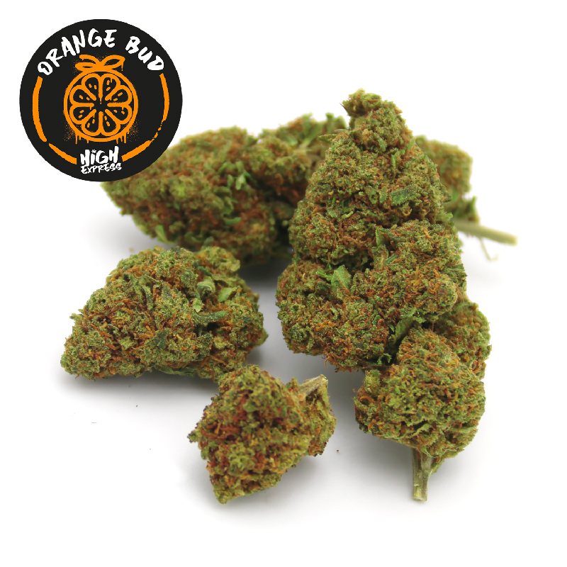 Orange Bud CBD fleur