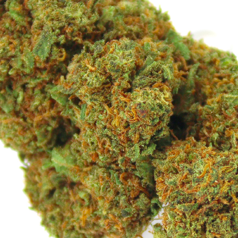 Orange Bud CBD fleur