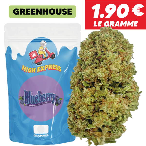 BLUEBERRY