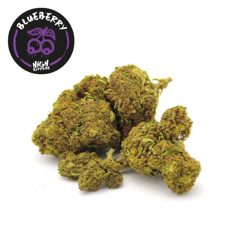 CBD blueberry Highexpress