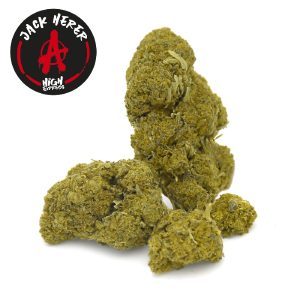 CBD jack herer Highexpress