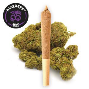 PREROLL BLUEBERRY