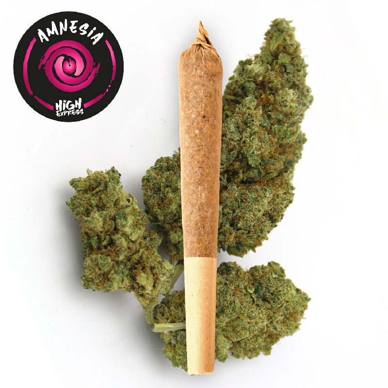 preroll cbd amnesia Highexpress