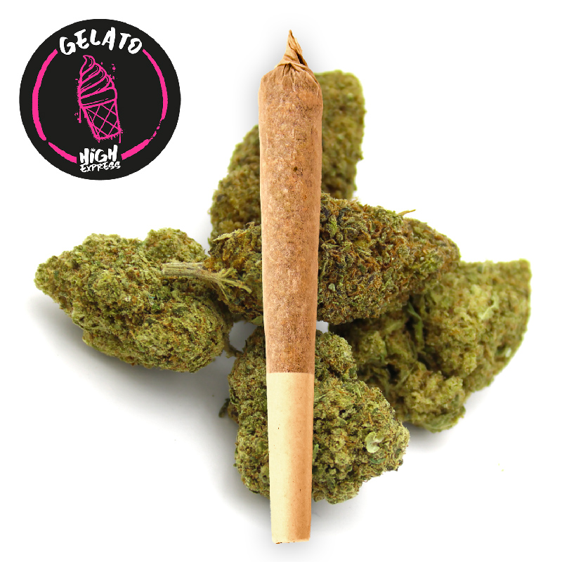 preroll cbd gelato Highexpress