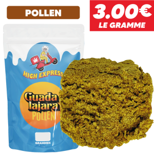 GUADALAJARA POLLEN