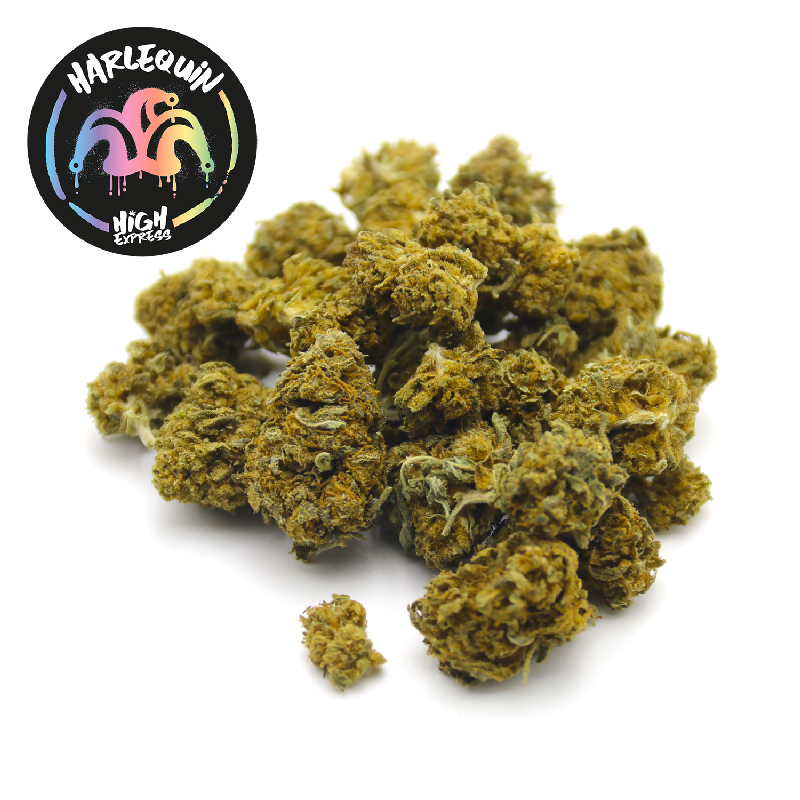 CBD harlequin Highexpress